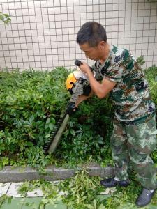 園林綠化